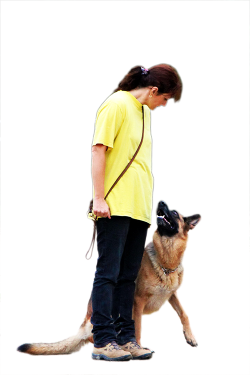 Criadores de pastores alemanes Monte Yulex