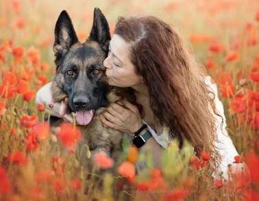 pastores alemanes Monte Yulex Sobre nosotros