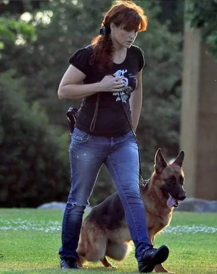Enseñando a un de pastor aleman.Monte Yulex Criador de pastores alemanes en España